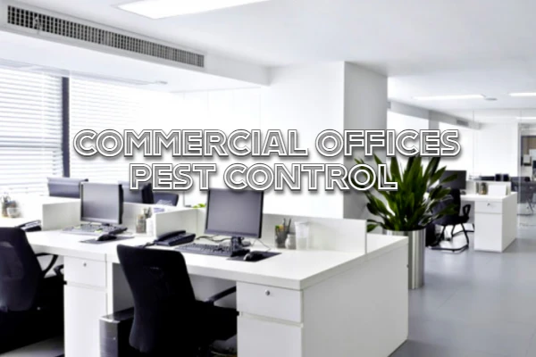 Commercial Pest Control Auckland