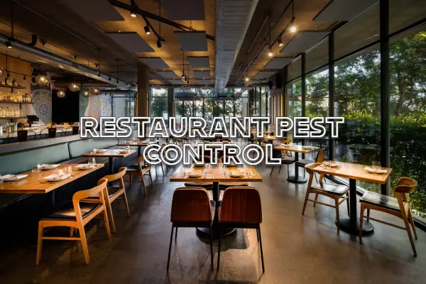 Restaurant Pest Control Auckland