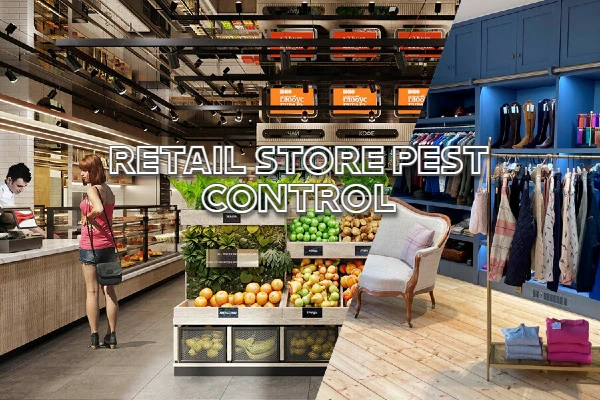 Retail Stores Pest Control Auckland