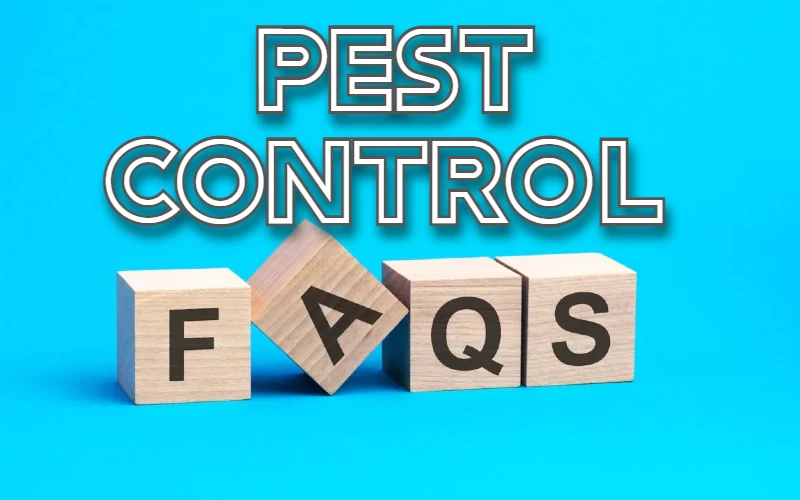 Pest Control FAQ