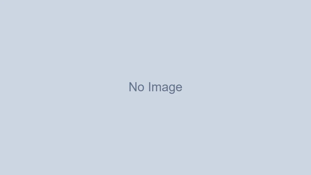 White tail spider hunting on a wooden skirting board